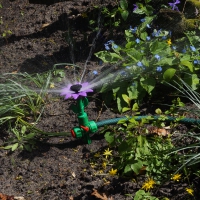 Zahradní postřikovač - květina