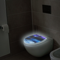 WC sedátko Light house, LED podsvícení, detek. pohybu, FSC dřevo a akryl