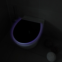 WC sedátko Black shining, LED podsvícení, detek. pohybu, FSC dřevo a akryl
