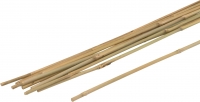 Bambusová tyč Tonkin, 6-9x750 mm, 10 ks